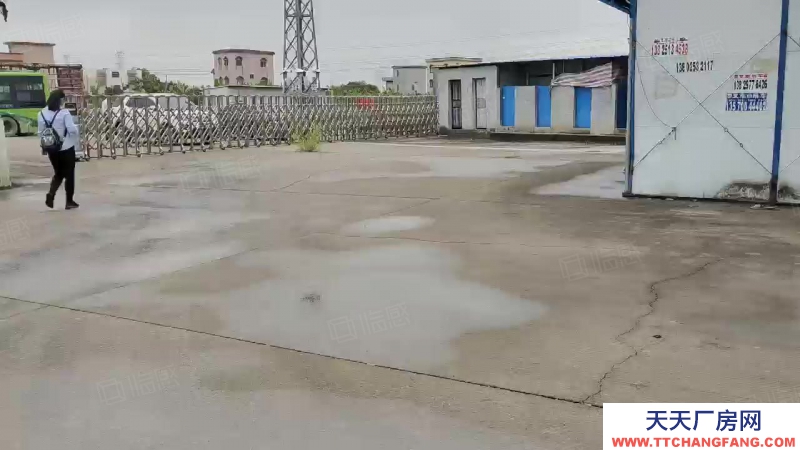 (出租) 廣州南沙區(qū)東涌萬(wàn)洲村，獨(dú)院簡(jiǎn)易9700方倉(cāng)庫(kù)打包價(jià)出租，滴水8米