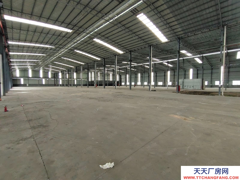 (出租) 廣州南沙區東涌萬洲村,獨院簡易9700方倉庫打包價出租,滴水8米