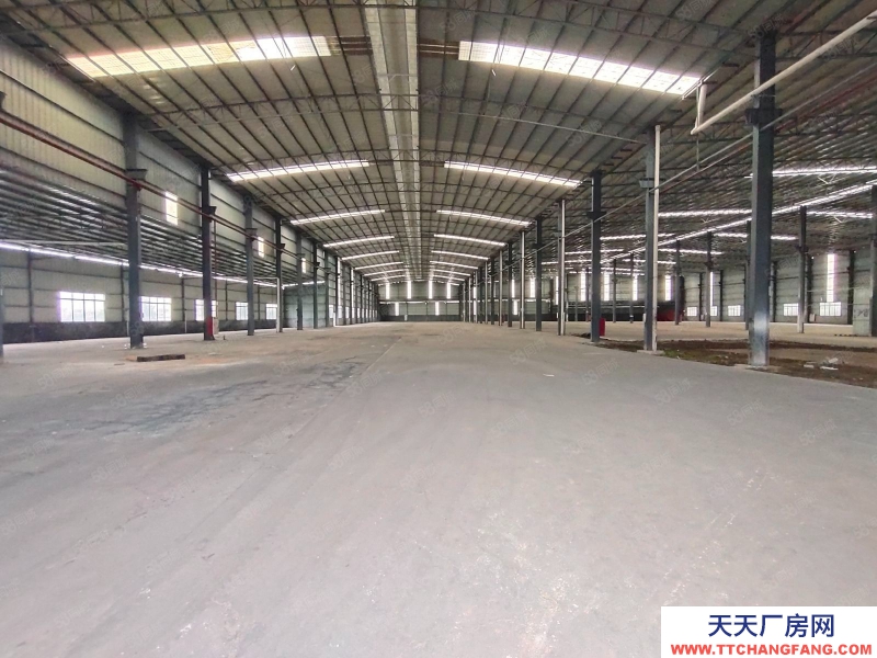 (出租) 廣州南沙區東涌萬洲村,獨院簡易9700方倉庫打包價出租,滴水8米