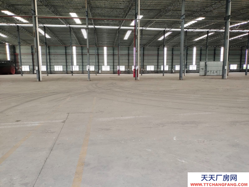 (出租) 廣州南沙區東涌萬洲村,獨院簡易9700方倉庫打包價出租,滴水8米