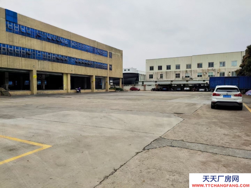 (出租) 廣州南沙空地超大標(biāo)準(zhǔn)高臺(tái)倉(cāng)9800平方出租 丙二類(lèi)消防 靠高速