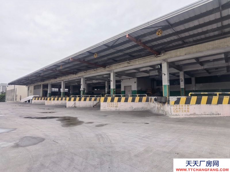 (出租) 倉儲！加工！廣州黃埔區科學城新出18000平整層倉庫出租，可分割