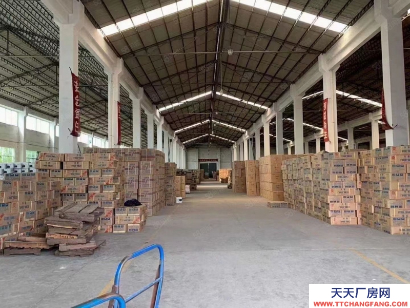 (出租) 廣州市南沙區欖核新出高臺倉7200平方 大小面積可分租