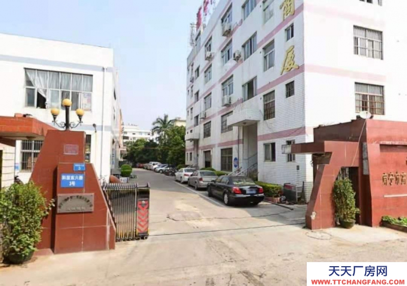 (出租)南寧市西鄉塘區科園大道火炬大廈邊廠房寫字樓辦公室