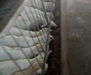 (出售) 十堰鄖西周邊，適合養(yǎng)殖，價格面議