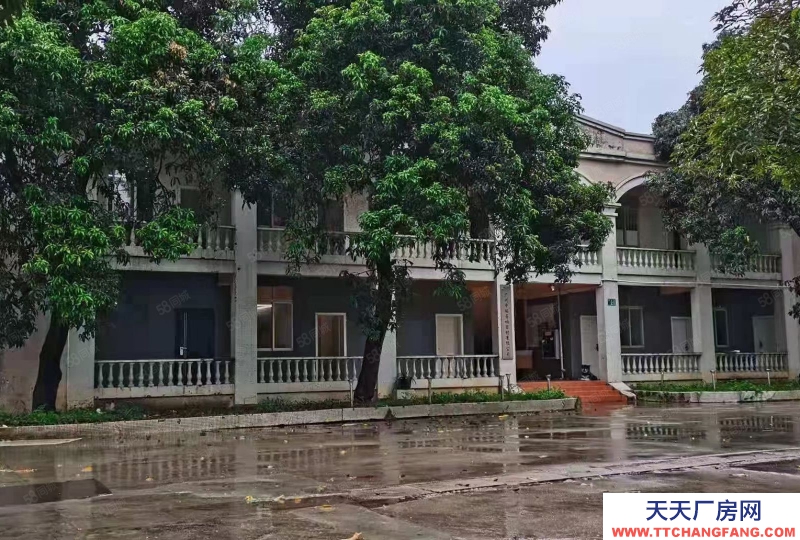 (出租) 廣州番禺亞運大道旁磚墻到頂單一層電大園林廠房空地大可辦環(huán)評中高10米