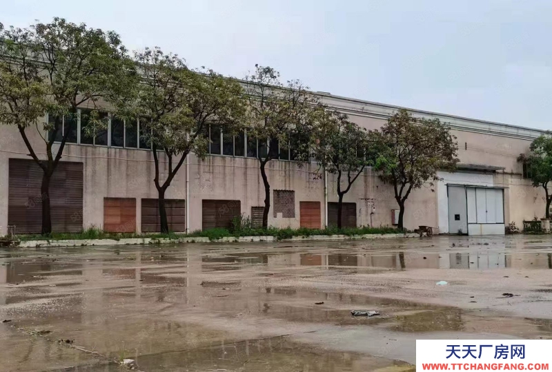 (出租) 廣州番禺亞運大道旁磚墻到頂單一層電大園林廠房空地大可辦環評中高10米