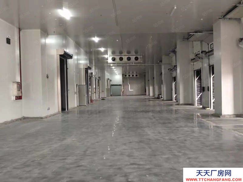 (出租) 廣州增城開發(fā)區(qū)原房東冷凍倉庫出租,獨門獨院設(shè)備配套齊全 現(xiàn)成裝修