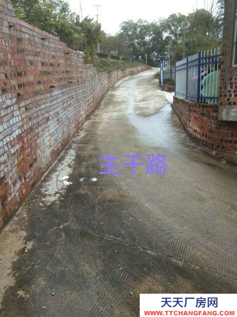 (出租)南寧市西鄉塘區廠房干凈整潔,通風明亮。