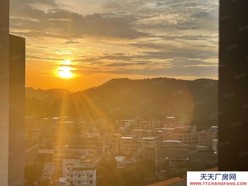 (出租) 東莞黃江臨深全新廠房單價(jià)13塊低價(jià)出租