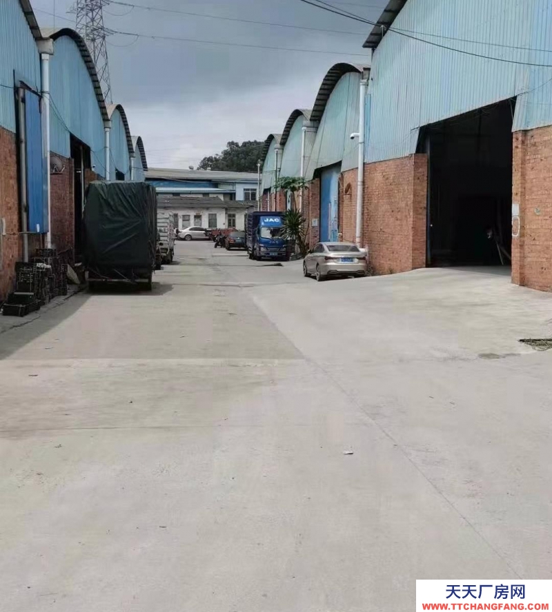 (出租)南寧市西鄉(xiāng)塘區(qū)交通方便,離南武大道250米