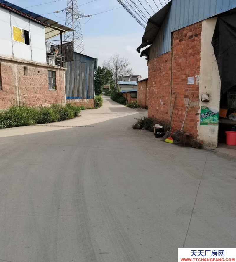 (出租)南寧市西鄉塘區交通方便,離南武大道250米