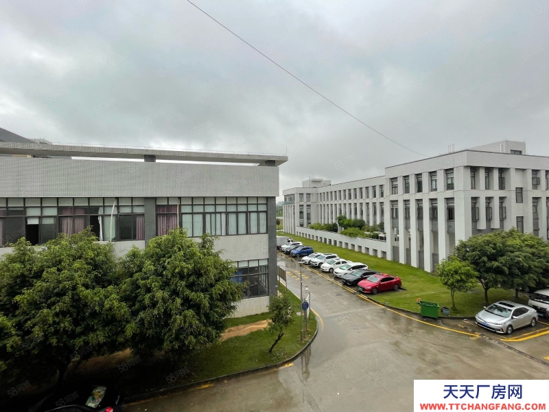 (出租) 東莞塘廈原房東獨棟標準廠房8550平 形象高大上!管理規范