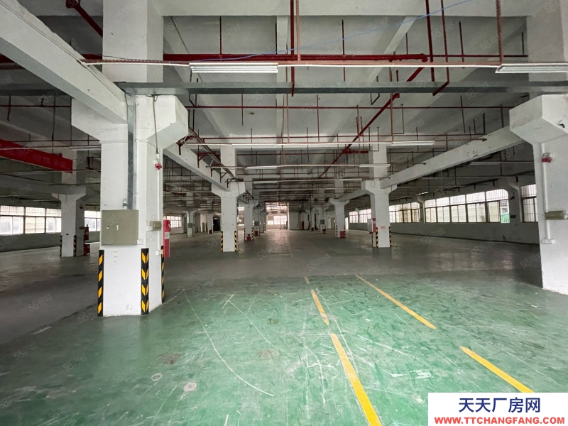 (出租) 東莞塘廈原房東獨棟標準廠房8550平 形象高大上!管理規范