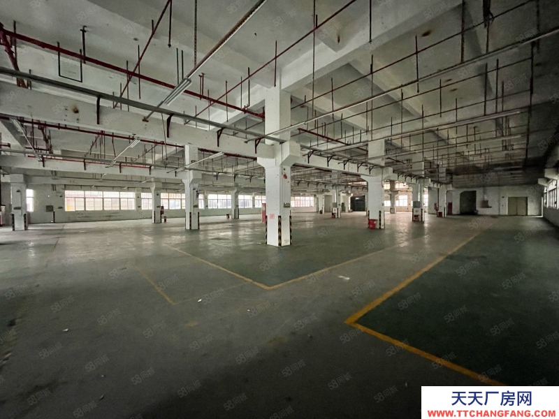 (出租) 東莞塘廈原房東獨棟標準廠房8550平 形象高大上!管理規范