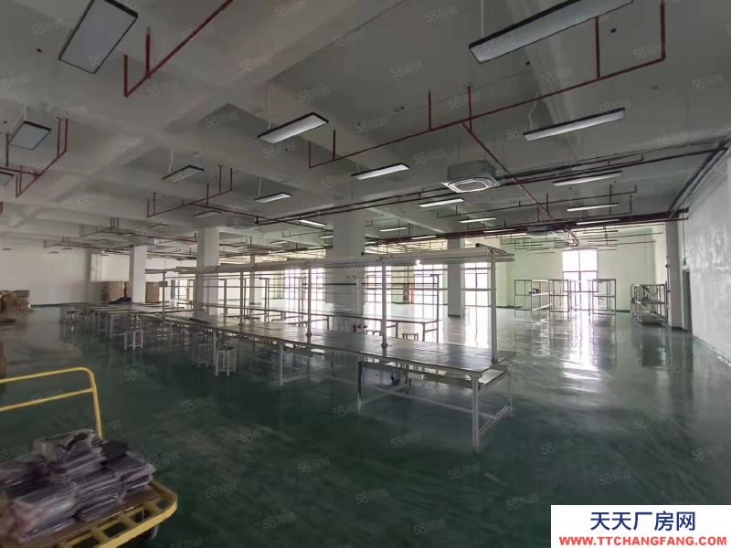 (出租) 東莞寮步鎮原房東紅本獨門獨院廠房9600平方，宿舍4000平方