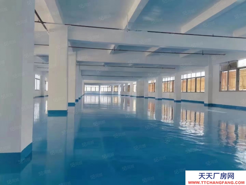 (出租) 東莞獨立廠房520平，860平，1700平等各種規格，形象高大上