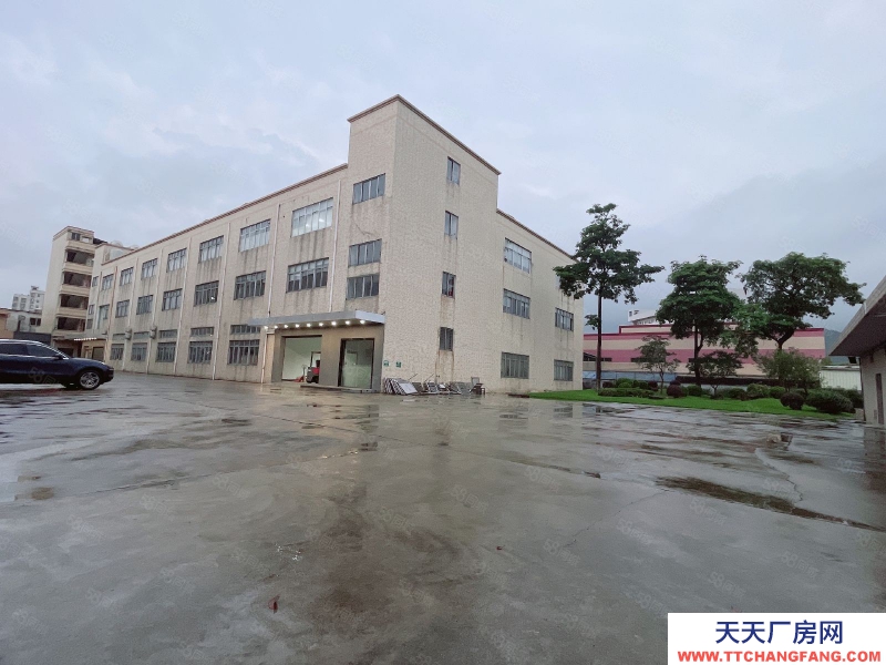 (出租) 東莞虎門懷德新出樓上2150平 原房東獨院分租 帶裝修