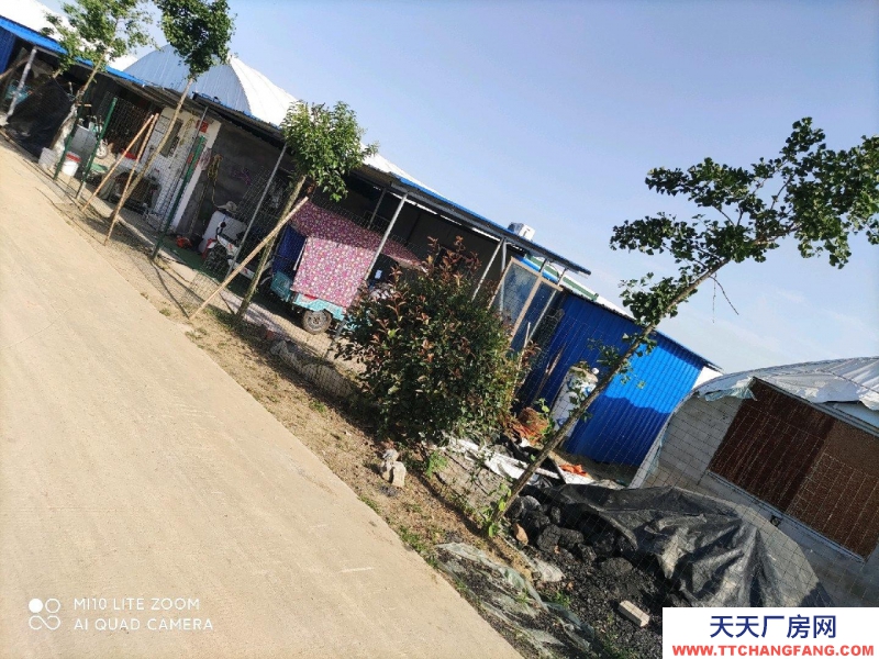 (出售) 阜陽潁州6000多平方的現(xiàn)代化養(yǎng)殖大棚,整體出租或出售。
