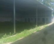 (出租) 十堰房縣靠河堤，交通方便，風景