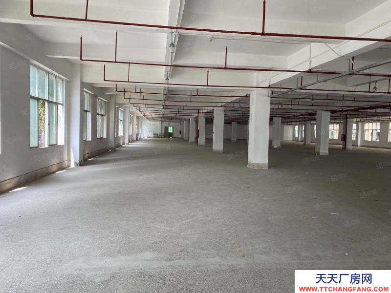 (出租) 急租深圳寶安西鄉原房東紅本廠房2000平起分租到8000平