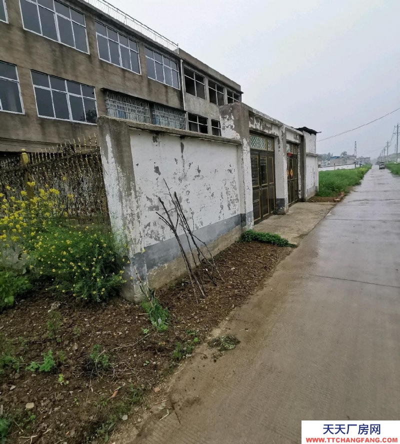 (出售) 阜陽潁州程集鎮(zhèn)300平方