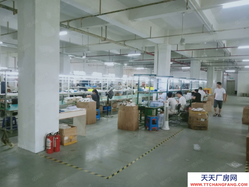 (出租) 深圳龍崗平湖工業園區新出樓上精裝廠房可做電商倉庫辦公帶現成辦公室出租