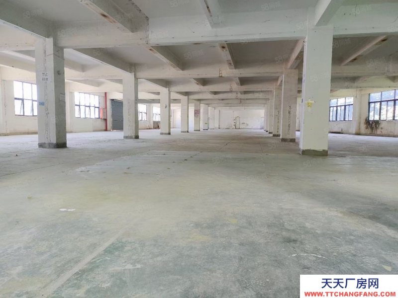 (出租) 深圳福田業(yè)主廠房，房東廠房地鐵口廠房