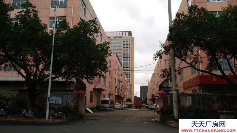 (出租)南寧市江南區經開金凱路13號廠房招租