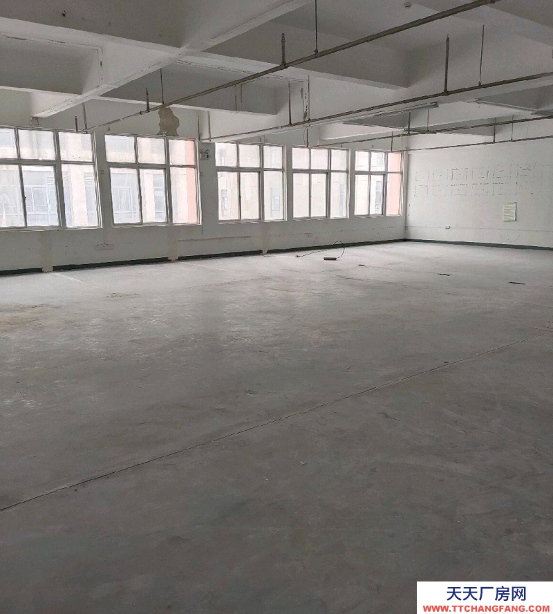 (出租)阜陽潁泉 青網產業園295平辦公倉儲樓對外招商