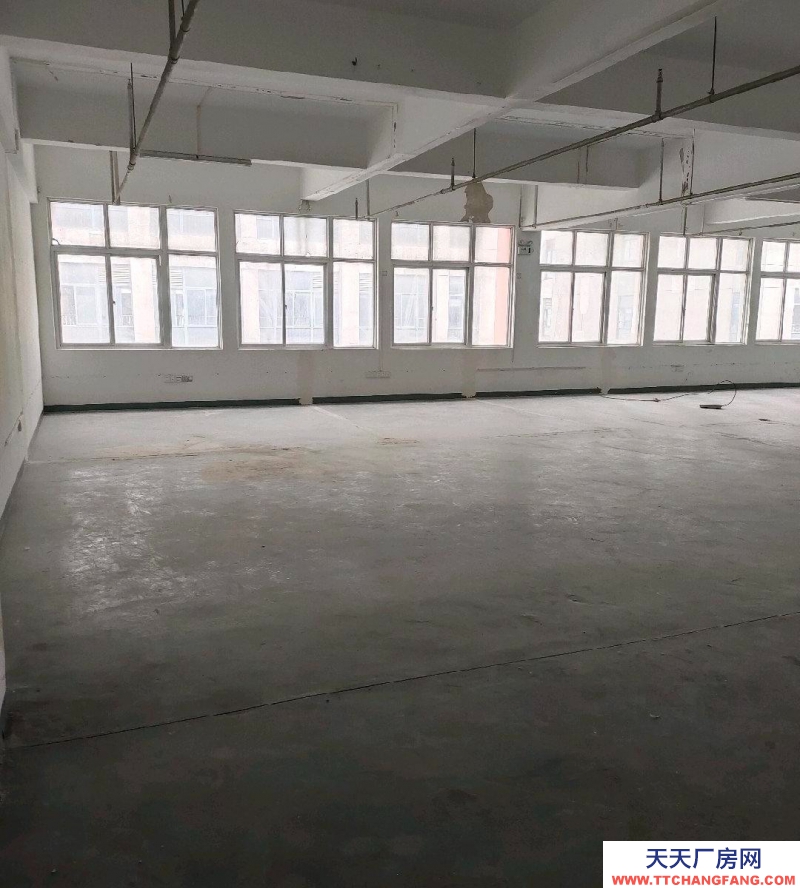 (出租)阜陽潁泉 青網(wǎng)產(chǎn)業(yè)園295平辦公倉儲(chǔ)樓對(duì)外招商