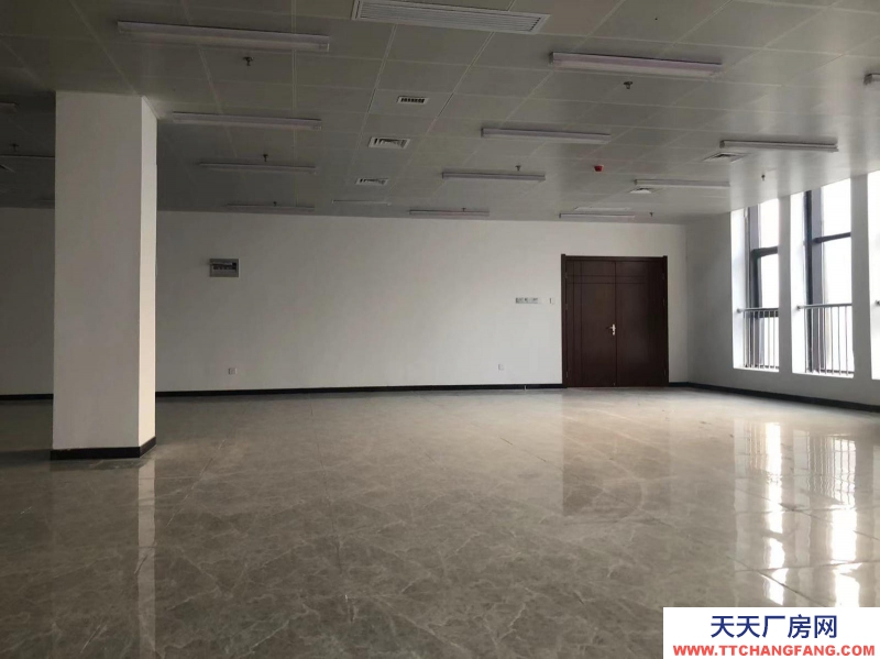 (出租) 阜陽界首300-2000平米精裝 可辦公 可倉儲。電商網(wǎng)紅直播產(chǎn)業(yè)園