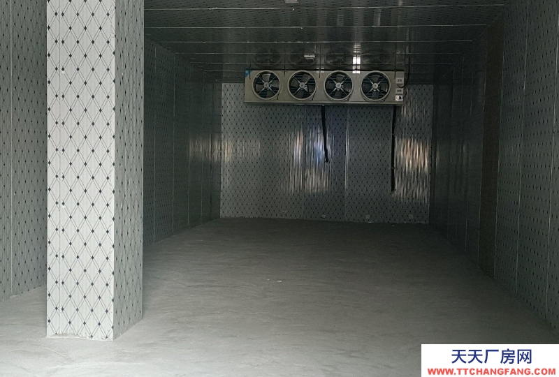 (出租) 阜陽界首交通便利，新建冷庫。可隨時看場地！可整租可分租！