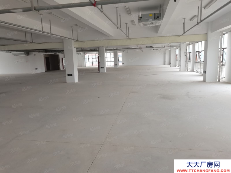 (出租)淮南田家庵 大間倉庫 倉儲中心 有多部電梯 可帶辦公室 價格可議隨時看。