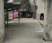 (出租) 黃石黃石港五洲莊園旁私房1樓，，可倉庫