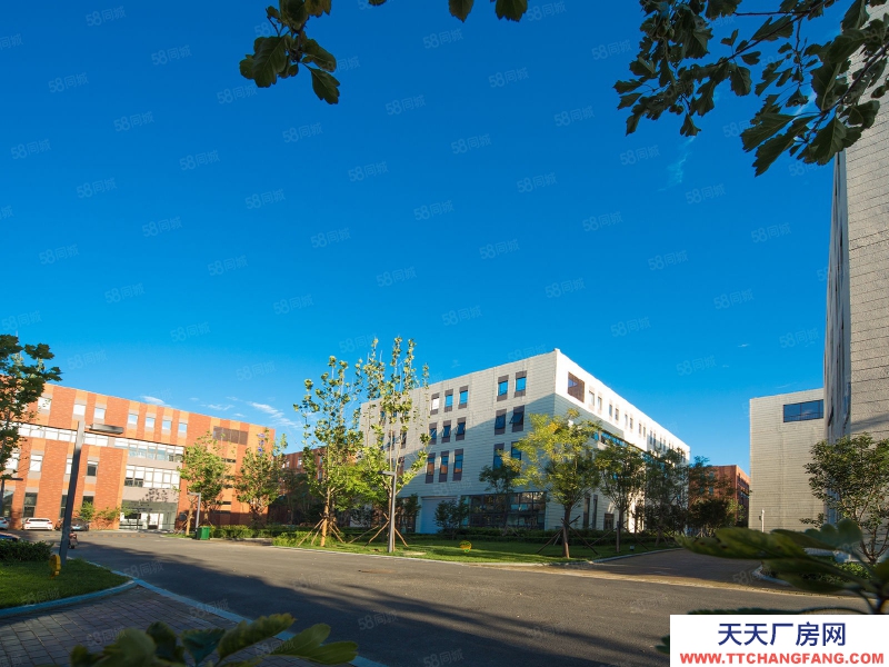 保定 雄縣 京雄中試基地產業園廠房出租6000,簡裝拎包入駐隨時看房