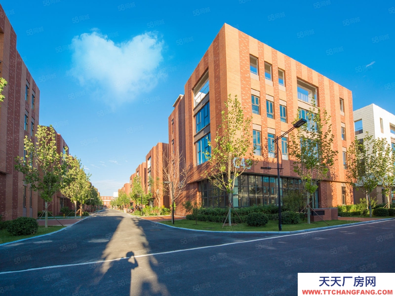 保定 雄縣 京雄中試基地產業園廠房出租6000,簡裝拎包入駐隨時看房