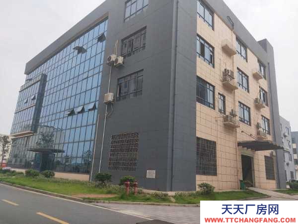 株洲市荷塘區出租荷塘向陽廣場金城國投廠房