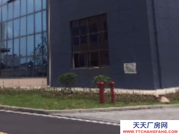 株洲市荷塘區出租荷塘向陽廣場金城國投廠房