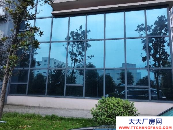 株洲市荷塘區出租荷塘向陽廣場金城國投廠房