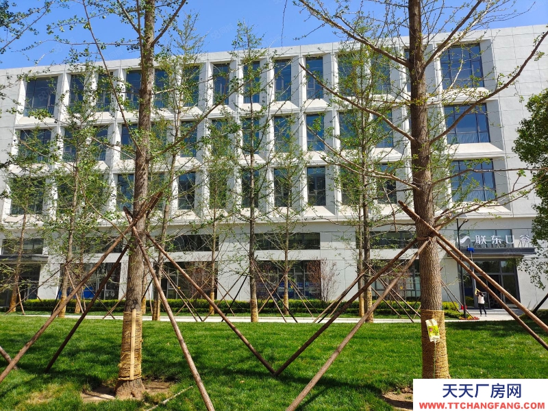 保定 雄縣 雄安新區,可生產研發環評獨棟廠房,可達北京,天津,新城