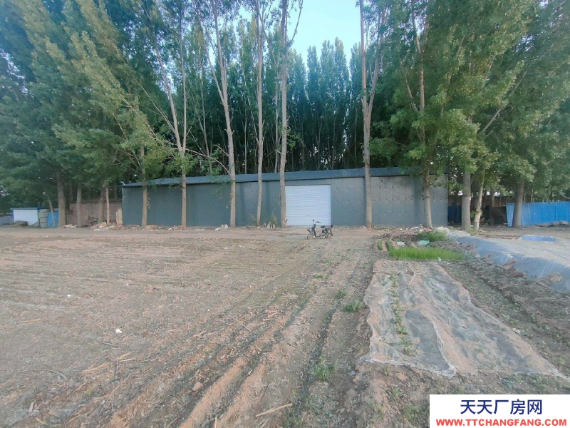 保定 雄縣 本房面議面積小面議可以談