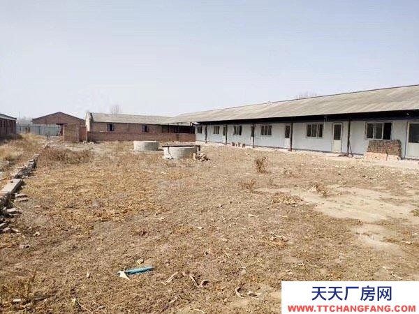 保定 雄縣 出租雄縣 獨門大院可整租可分租