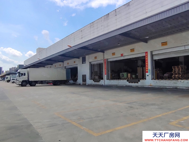 (出租) 佛山市三水白坭新空出3600平方靠百事路邊可分租倉庫廠房出租