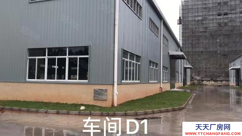 (出租) 佛山三水化工園全新大平層鋼結構廠房,適合化工噴涂漂染等等