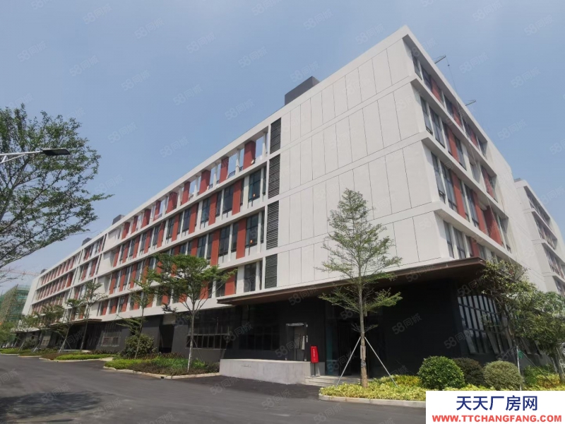 (出售) 佛山三水白坭2000平小獨棟全新廠房出售 50年產權 首付3成