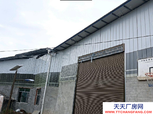 株洲市蘆淞區可進9.6米車向金塘房東急租自建標準廠房倉庫優價出租