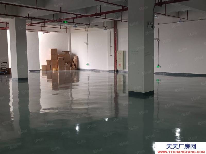 (出租) 佛山順德小面積 精裝修650平 市政排污配套順德區(qū)倫教鎮(zhèn)大型工業(yè)園區(qū)