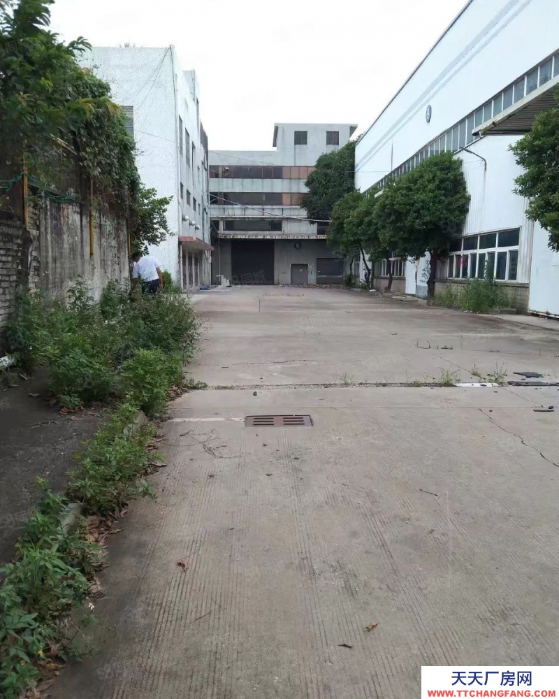 (出租) 佛山順德大車隨意進 陳村標(biāo)準(zhǔn)和鋼構(gòu)40000方位置好配電大好招工