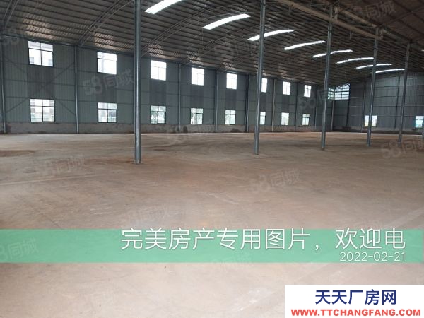 株洲市蘆淞區新建倉庫和廠房優價出租